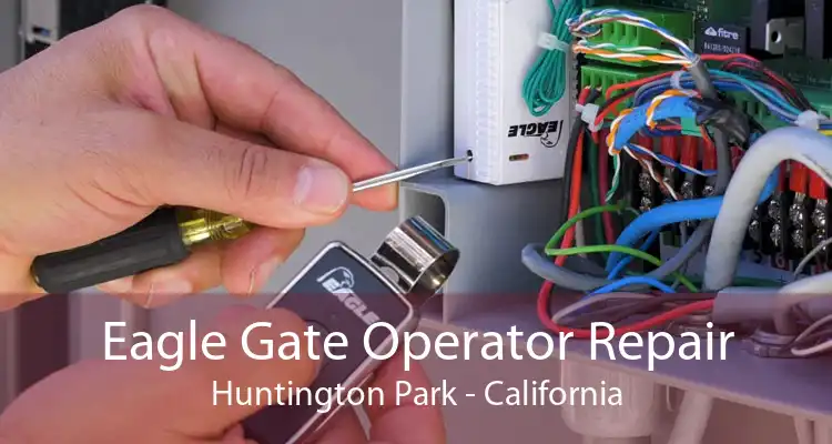 Eagle Gate Operator Repair Huntington Park - California