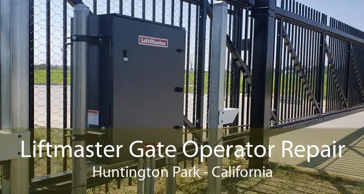 Liftmaster Gate Operator Repair Huntington Park - California
